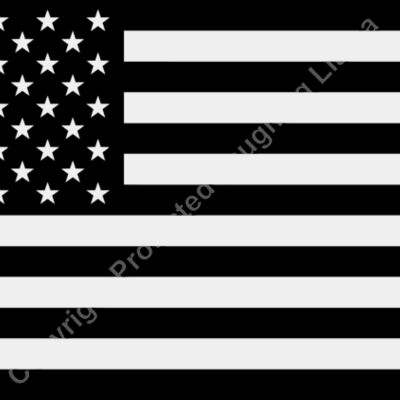 Black American Flag for Sleeves Thumbnail