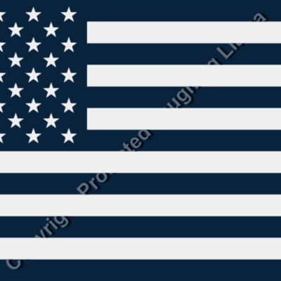Navy American Flag for Sleeves Thumbnail