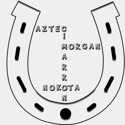 Team Morgan Back Grey on Pink Thumbnail